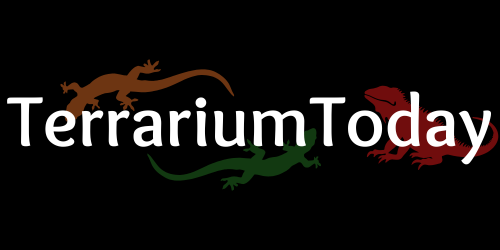 TerrariumToday